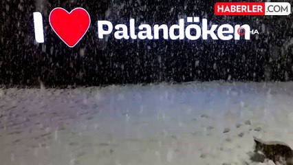 Palandöken'de Tilki Eğlencesi