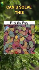 Can you guess the answer just in 5 seconds