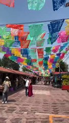 Albertina y la Serpiente: Una Historia Fascinante 🐍