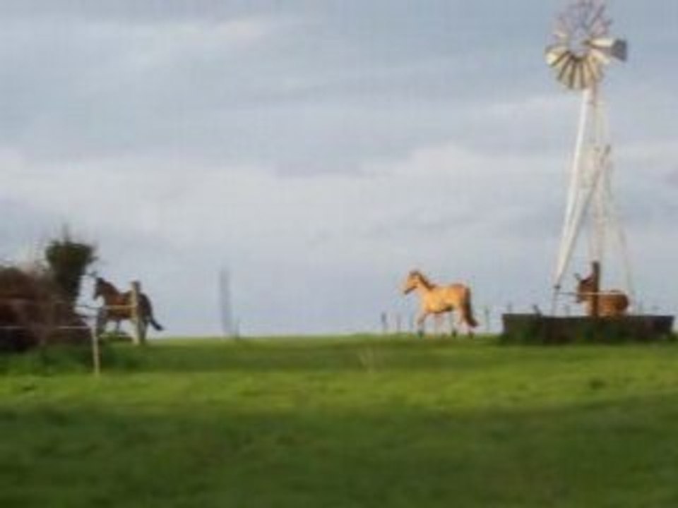 Pilou foufou bas pré