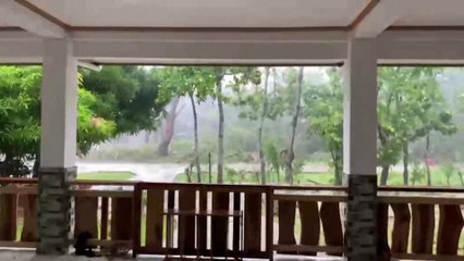 Typhoon Man-Yi lashes northern Philippines with strong winds