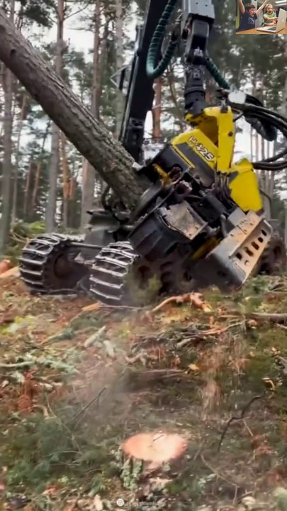 Shocking heavy machiniry work😲