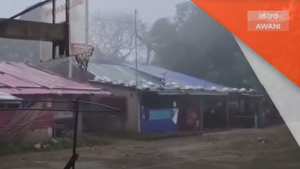 Taufan Man-yi sebabkan banyak pokok tumbang di Filipina