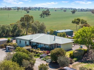 Auction preview of Buchanan farm sale in South Australia.