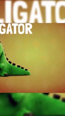 Letter B turn into Bear