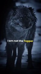 Cyber Security & Digital Markiting+Intertainment-WA0001