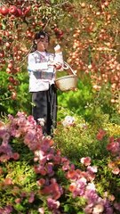 My village Life is a beautiful life i cut apple