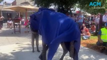 Unveiling of Ned Kelly and John Monash sculpture