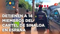 Golpe internacional al narco, detienen a 14 miembros del cartel de Sinaloa en España