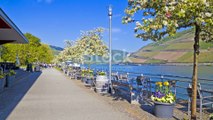 The exotic & romantic Rhine River Cruise