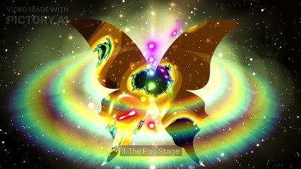 The Life Cycle of a Butterflies