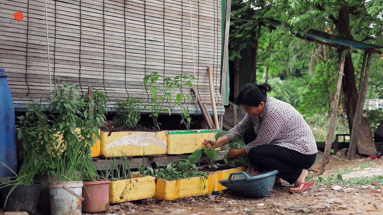 មែក្រ
