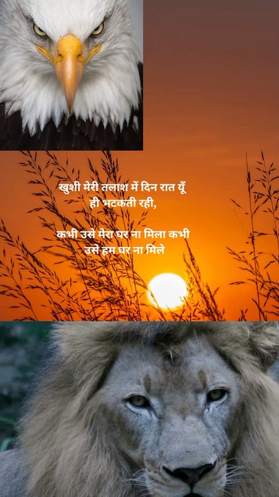 Motivation quotes