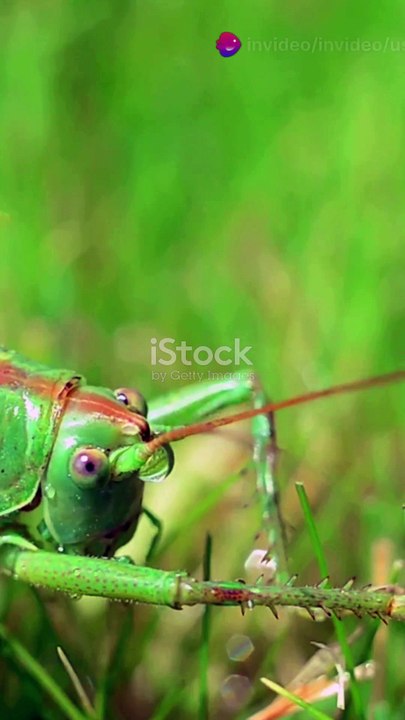 In typography, a tittle refers to the small mark or dot above letters like i and j. It's the little dot that distinguishes these letters from others.