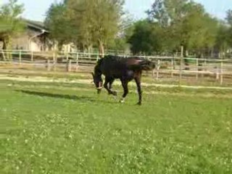 qad 3