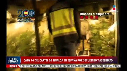 Caen 14 integrantes del Cártel de Sinaloa en España