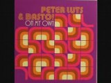 Peter Luts & Basto - On My Own 2oo8