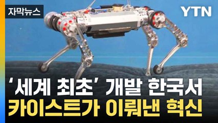 카이스트의 4족 로봇 '라이보2', 마라톤 완주 성공 🚶‍♂️