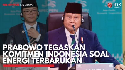 Prabowo Tegaskan Komitmen Indonesia Soal Energi Terbarukan