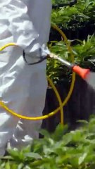 Agrosafe Sprayer Manufacture and Supplier in Lagos