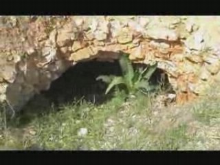 Parapente - site les cardères - Yonne 24/04/2008