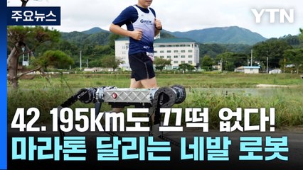 42.195km 달려도 끄떡 없다!...마라톤 풀코스 달리는 네발 로봇 / YTN