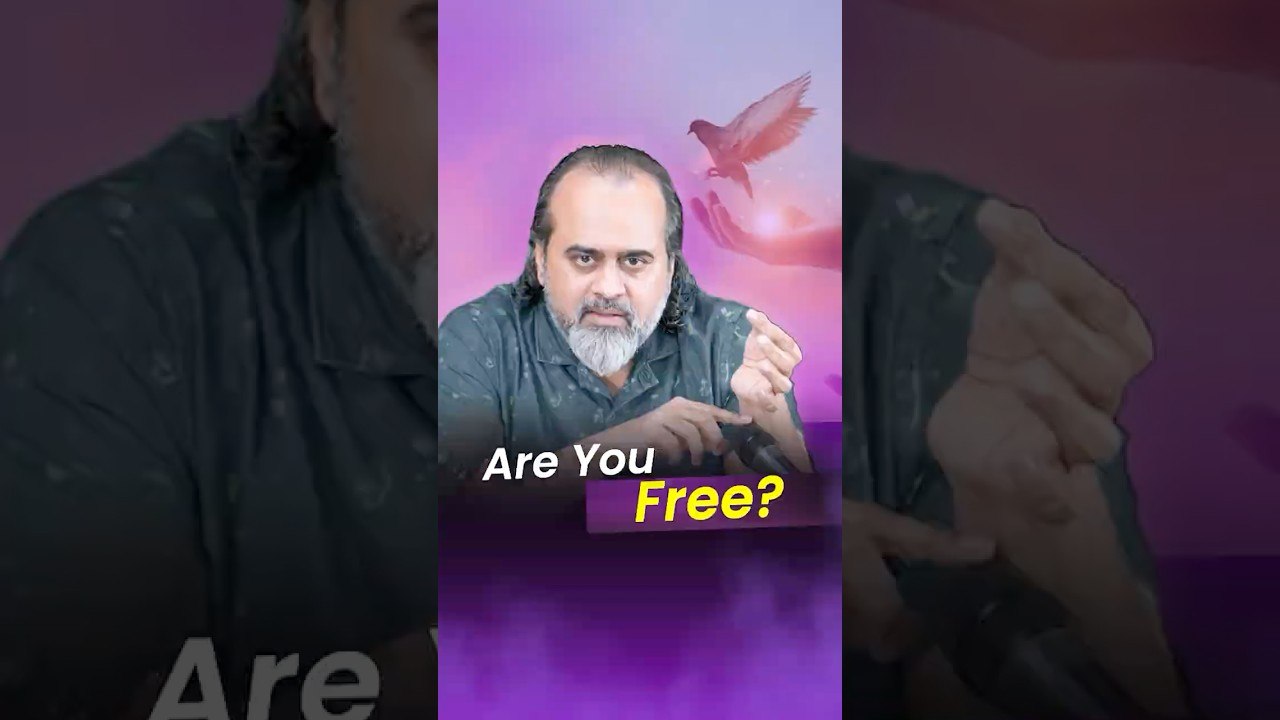 Are you Free_ __ Acharya Prashant
