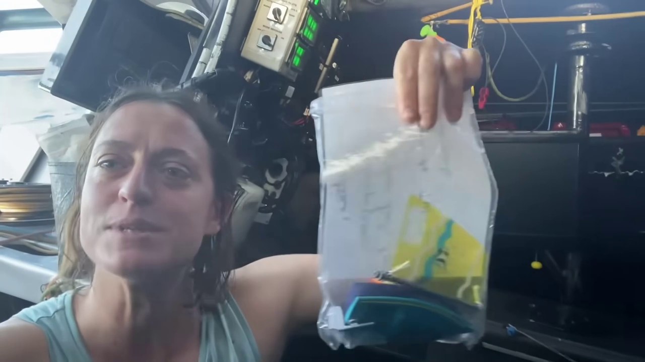 Vendée Globe 2024 - Justine Mettraux / Teamwork-Team Snef et ses compagnons de voyage