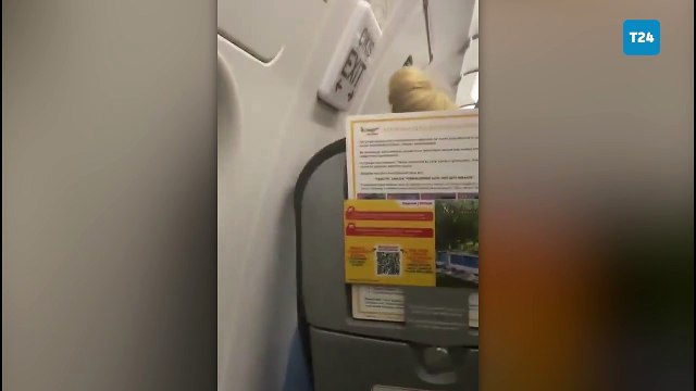 Havada korku dolu anlar | 3 kez düşme tehlikesi geçiren uçak Kayseri'ye zorunlu iniş yaptı