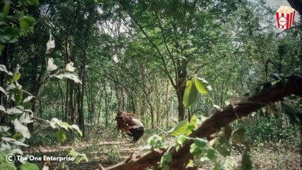 Parents send their children to the country's top boarding school, unaware it's a survival prison