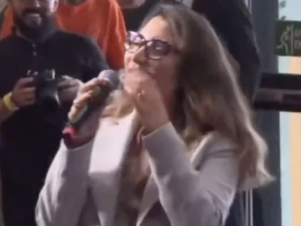 'Fuck you': Brasiliens First Lady beschimpft Elon Musk