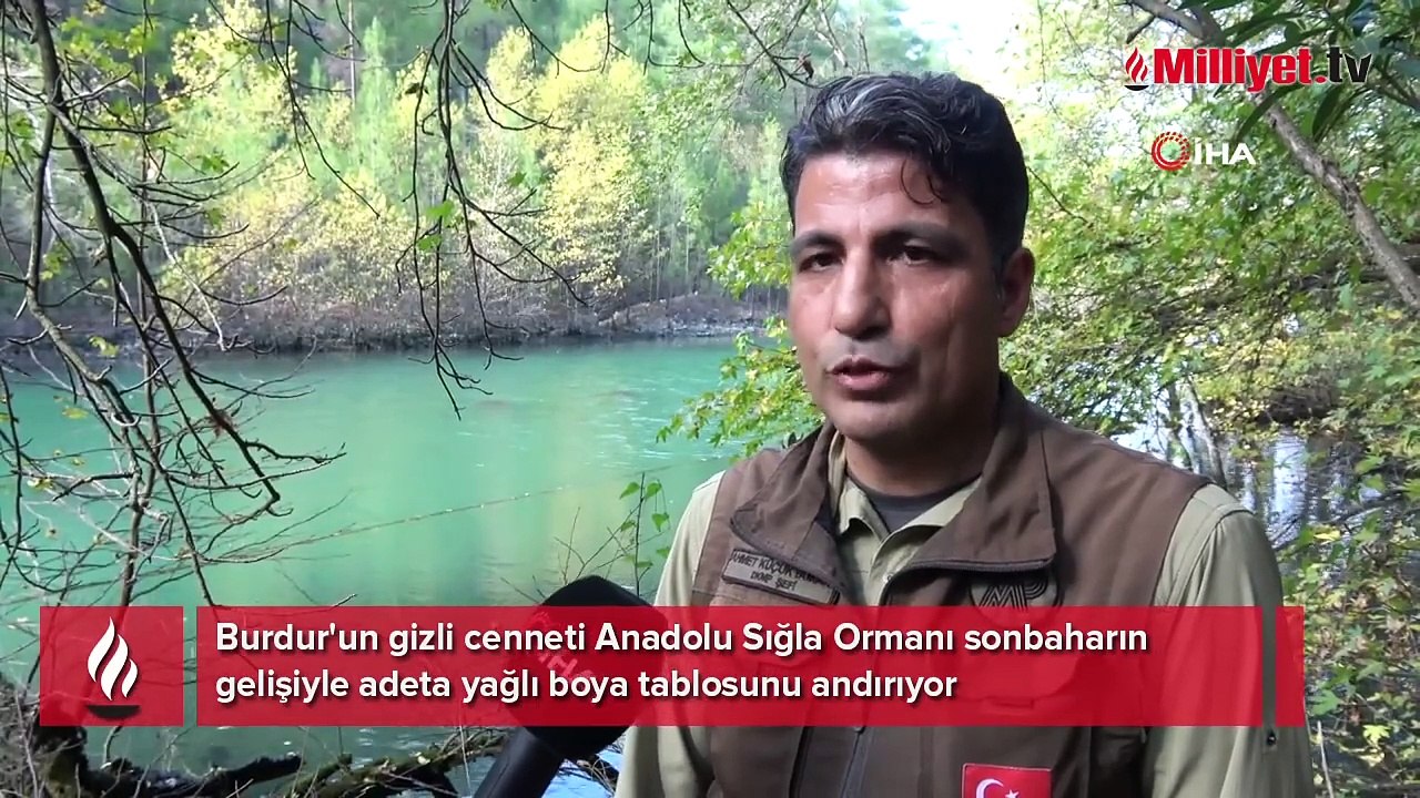 Özel izinle giriliyor! Dünyada sadece ABD, Çin, Güney Kore ve Türkiye'de var