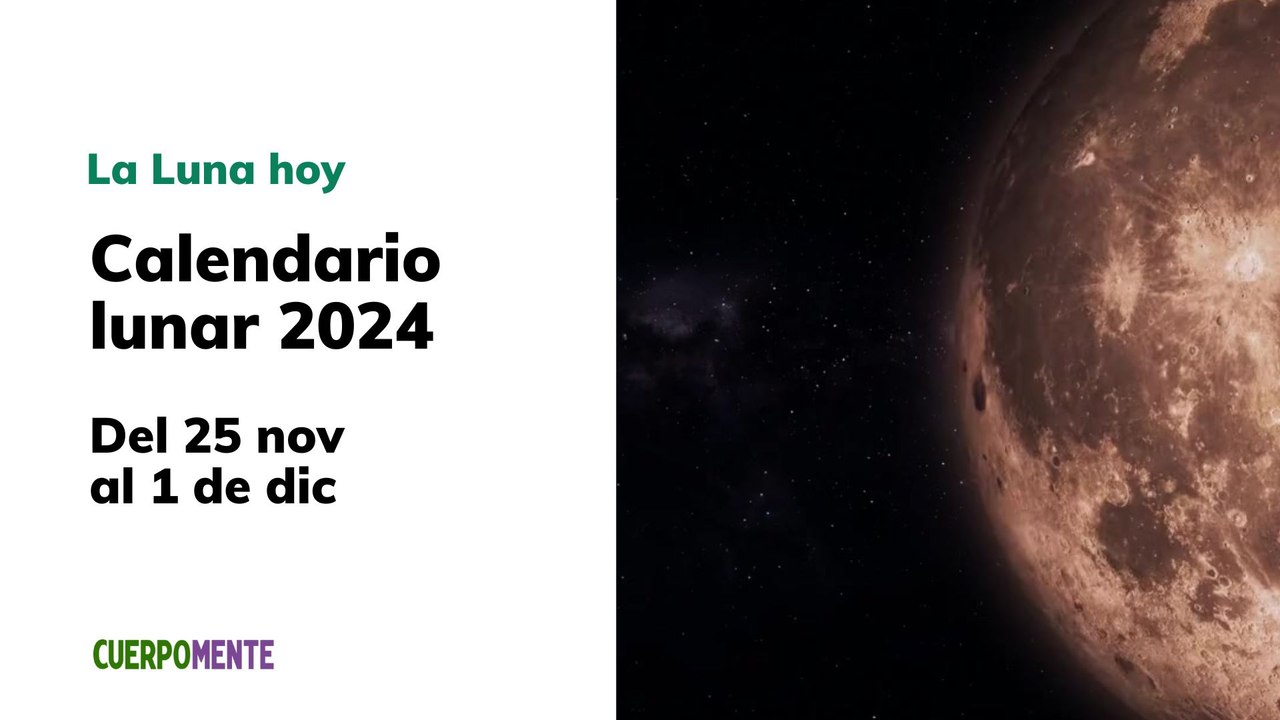 Luna del 25 de noviembre al 1 de diciembre 2024