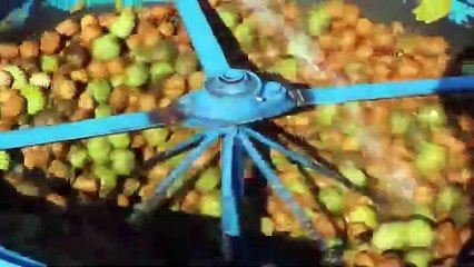 7 yıl önce başlamıştı, bir ilimizin geçim kaynağı haline geldi