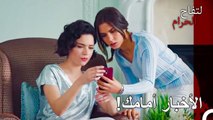صدمة فضيحة الأب لليلى وزهرة - التفاح الحرام الحلقة ال 21