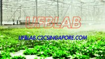 Nanobubble Technology for  Shrimp Farming System| Exploring the Benefits of Nanobubble Technology A Detailed Overview!