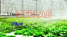 UFBLab Singapore|Understanding the Benefits of Nanobubble Technology A Beginner's Introduction|https://ufblab.c2csingapore.com