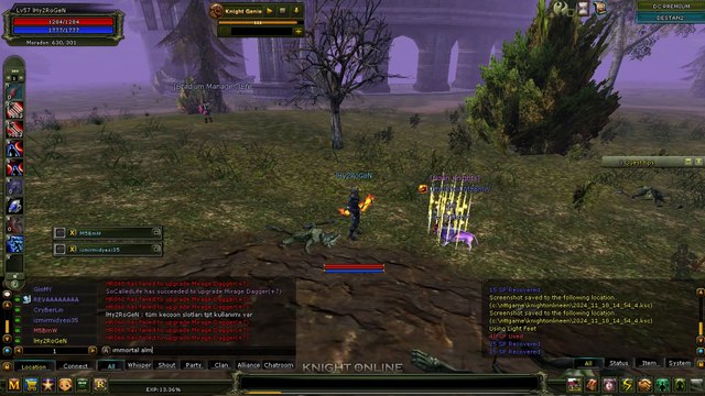 Capture 2024-11-18 14-53-53-265