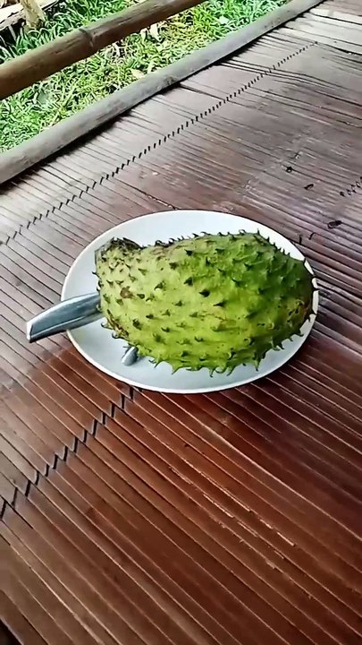 Guyabano