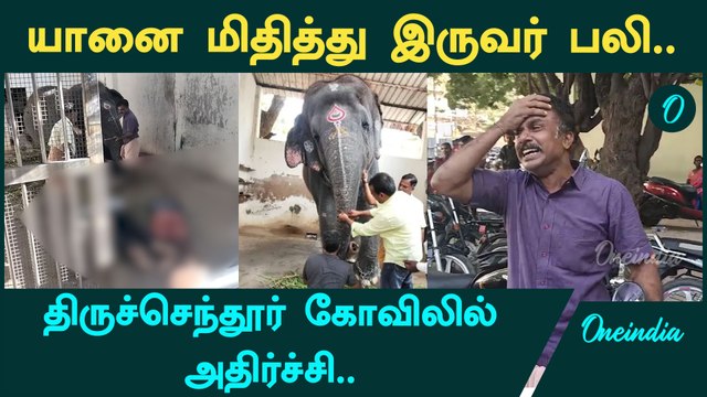 Tiruchendur Temple-ல் Elephant மிதித்து இருவர் பலி | Oneindia Tamil