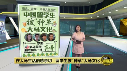 中国留学生盛赞马来西亚文化：像榴莲一样“真香”🌺