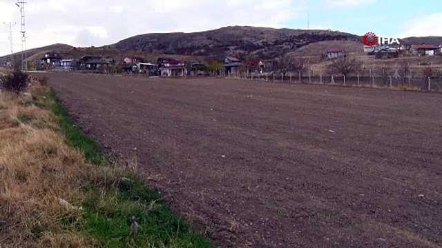 Ankara’da köpek saldırısında yaralanan çocuk hastanede!