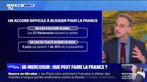Accord UE-Mercosur: de quelle marge de manœuvre la France dispose t-elle?