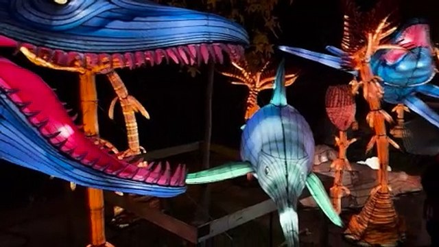 Féérique et scientifique, l'exposition Jurassique illumine le Jardin des Plantes