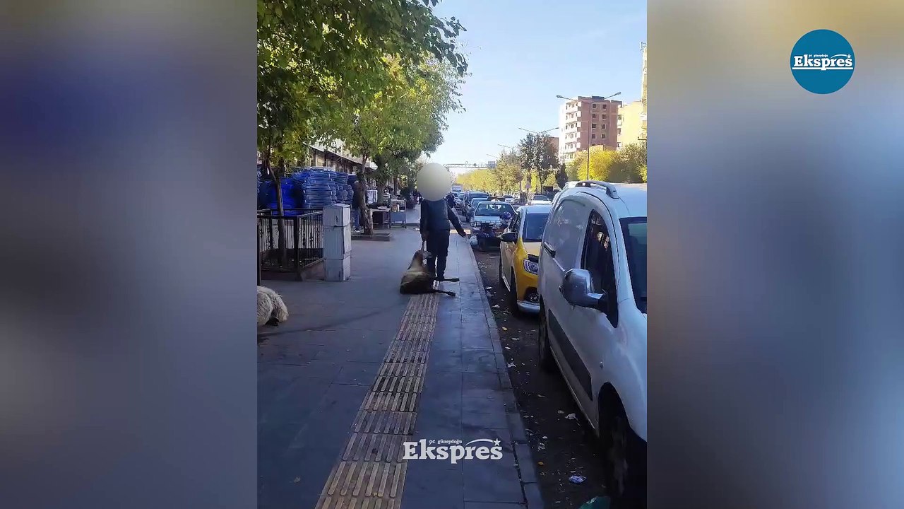 Diyarbakır’da yürek sızlatan görüntü!