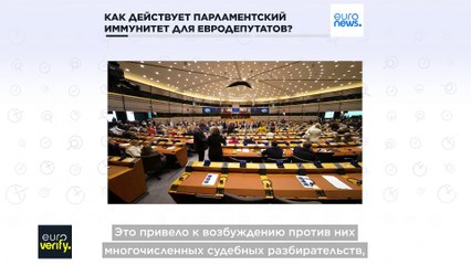 Проверка фактов: парламентский иммунитет евродепутатов