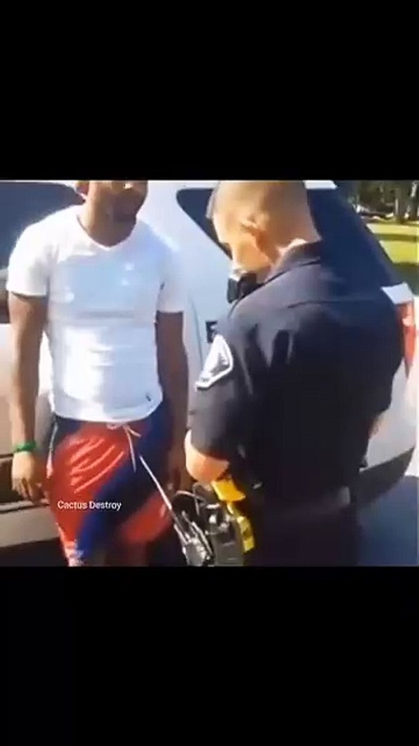 Entertainment funny video