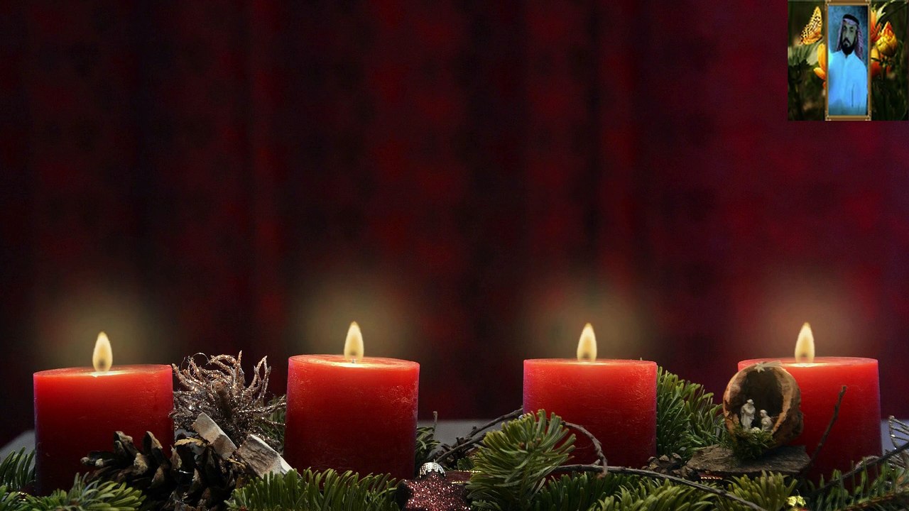 قرآن كريم قبل النوم أجمل تلاوة هادئة 💤 راحة نفسية و طمأنينة  قناة علي الفرهود القران الكريم