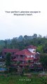 lakeview resorts in Wayanad- Vistara