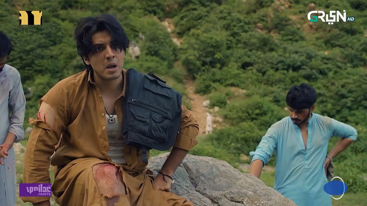 Faraar Episode 1 [CC] Hamza Ali Abbasi _ Ahmed Ali Akbar _ Sohai Ali Abro _ 17th Nov 2024 _ Green TV(720P_HD)